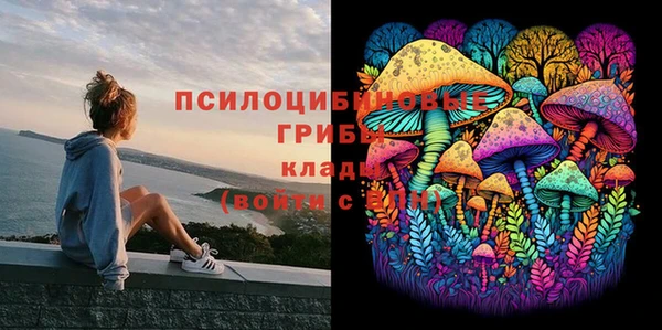 ешки Арсеньев