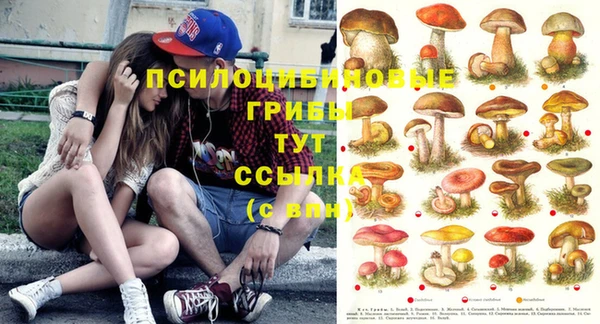 мефедрон Богданович