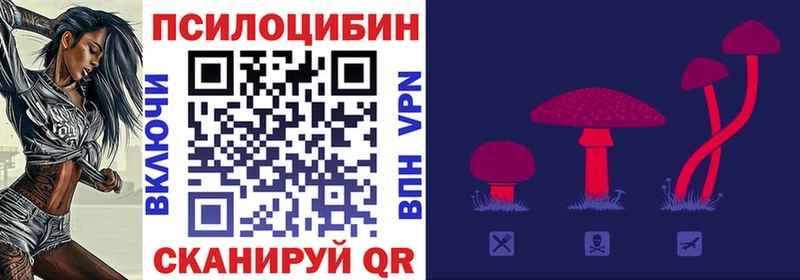 Псилоцибиновые грибы Psilocybine cubensis  Судак 